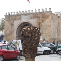 Тунис.