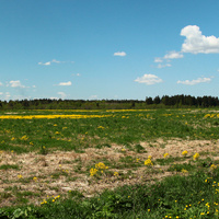 Большое Кикерино. Окрестности.