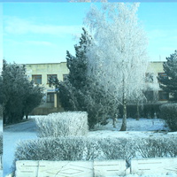 Школа зимой