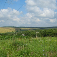 Дачі і поля  в районі Березове.