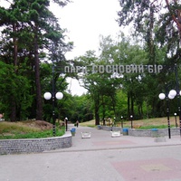 Парк Сосновый бор