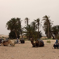 Дуз. В Сахаре.