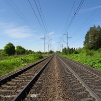 Железная дорога рядом с Большими Борницами