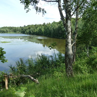 Разлив реки Ильдь около деревни Нескучное