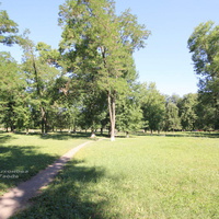 Лужайка в парке