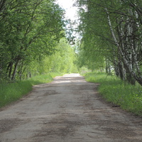 Дорога в деревню Толша