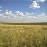 Природа окрестности Карабутака.