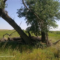 Карабутак, берега реки Кумак.