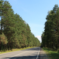 Дорога 46К-5072 на Егорьевск