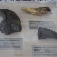 Белгород. В Музее динозавров "ДиноПарка".