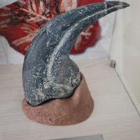Белгород. В Музее динозавров "ДиноПарка".