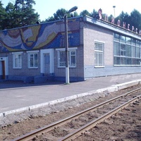 Станция Понерская Детской ЖД
