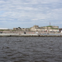 залив Невская Губа