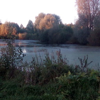 Зименковский пруд