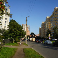 Дубовское шоссе.