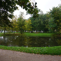 Озеро в Голицынском саду.