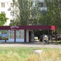 Остановка общественного транспорта на ул.К.Маркса и магазин цветов