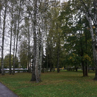 г.Зеленогорск.