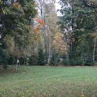 На проспекте Ленина.