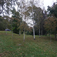 г.Зеленогорск.