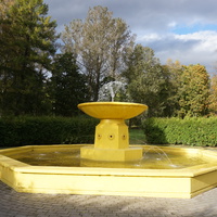 Жёлтый фонтан.