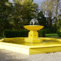 Жёлтый фонтан.