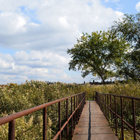 мост через ручей "Рыгин". 10.10.2017