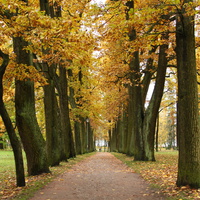 Дворцовый парк