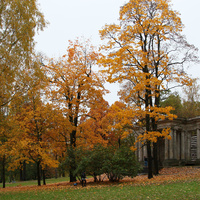 Дворцовый парк