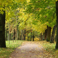 Дворцовый парк