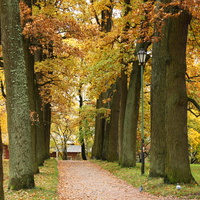 Дворцовый парк