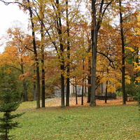 Дворцовый парк