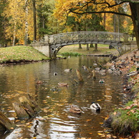 Дворцовый парк