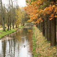 Дворцовый парк