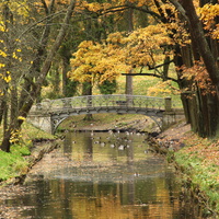 Дворцовый парк