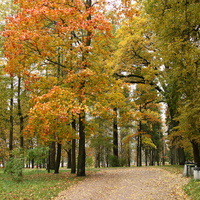 Дворцовый парк