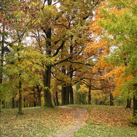 Дворцовый парк