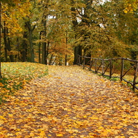 Дворцовый парк