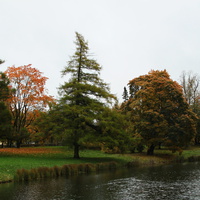 Дворцовый парк