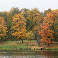 Дворцовый парк