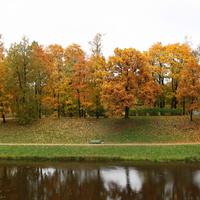 Дворцовый парк