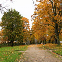 Дворцовый парк