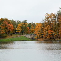 Карпин пруд