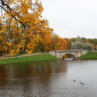 Карпин пруд