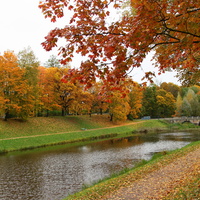 Карпин пруд