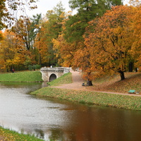 Карпин пруд