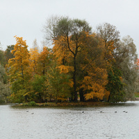 Озеро Белое. Остров Вороний.
