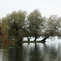 Озеро Белое. Остров Лебяжий.