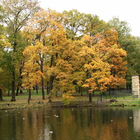 Дворцовый парк. Пруд Ковш.