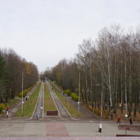Реадовский парк.